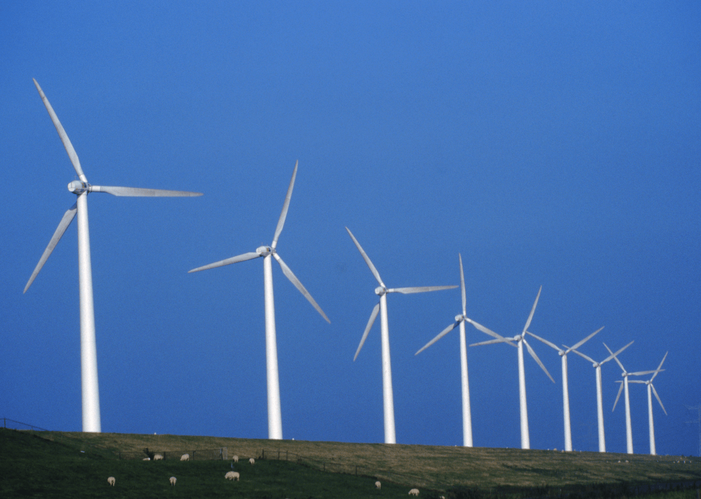 Samarbejde med Green Power Denmark: Stå stærkt på det globale vindmarked